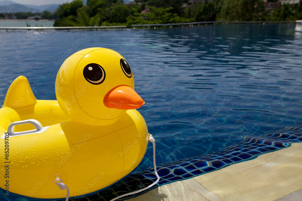Rubber ring duck in swimming pool. Rubber ring duck in swimming pool.