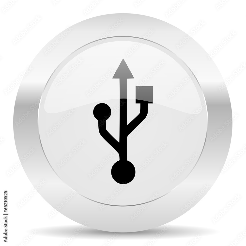 usb silver glossy web icon usb silver glossy web icon
