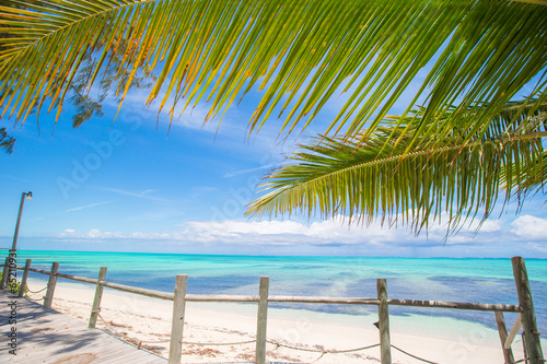 Tropical beach with palms and white sand on Caribbean  Turks