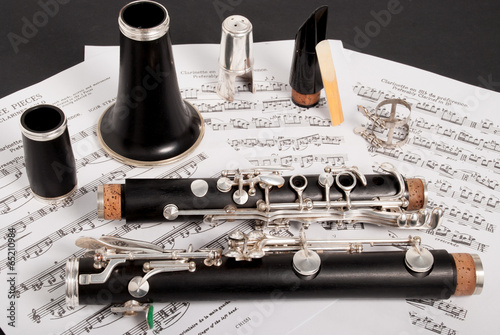 Принти на полотні clarinet in parts