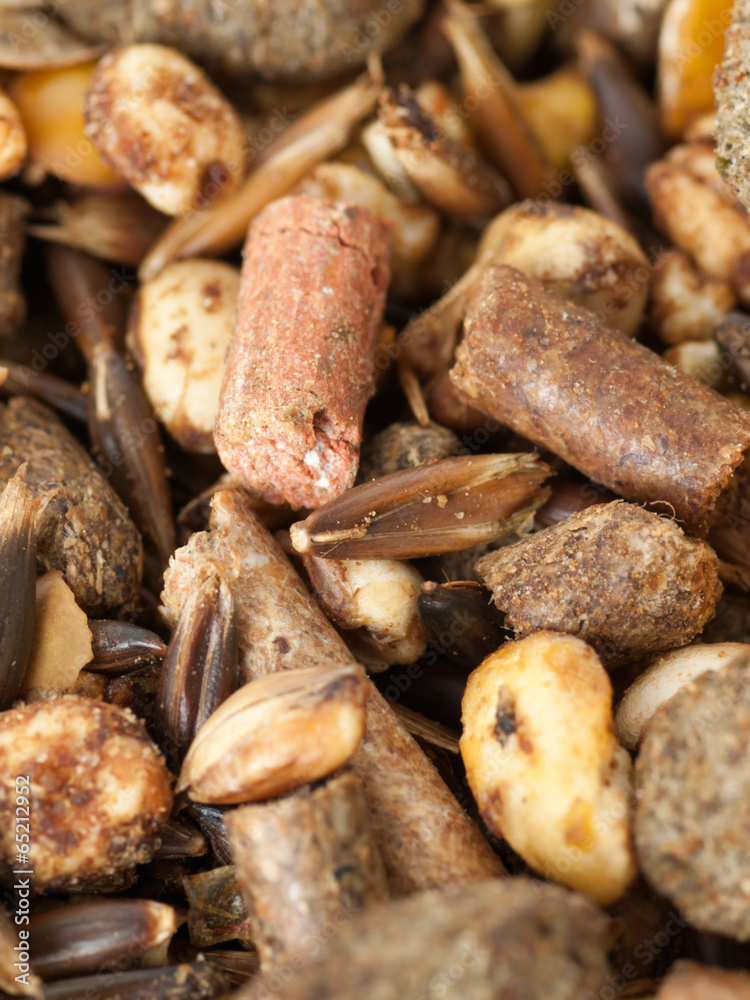 muesli background with black oats. for horse.macro muesli background with black oats. for horse.macro