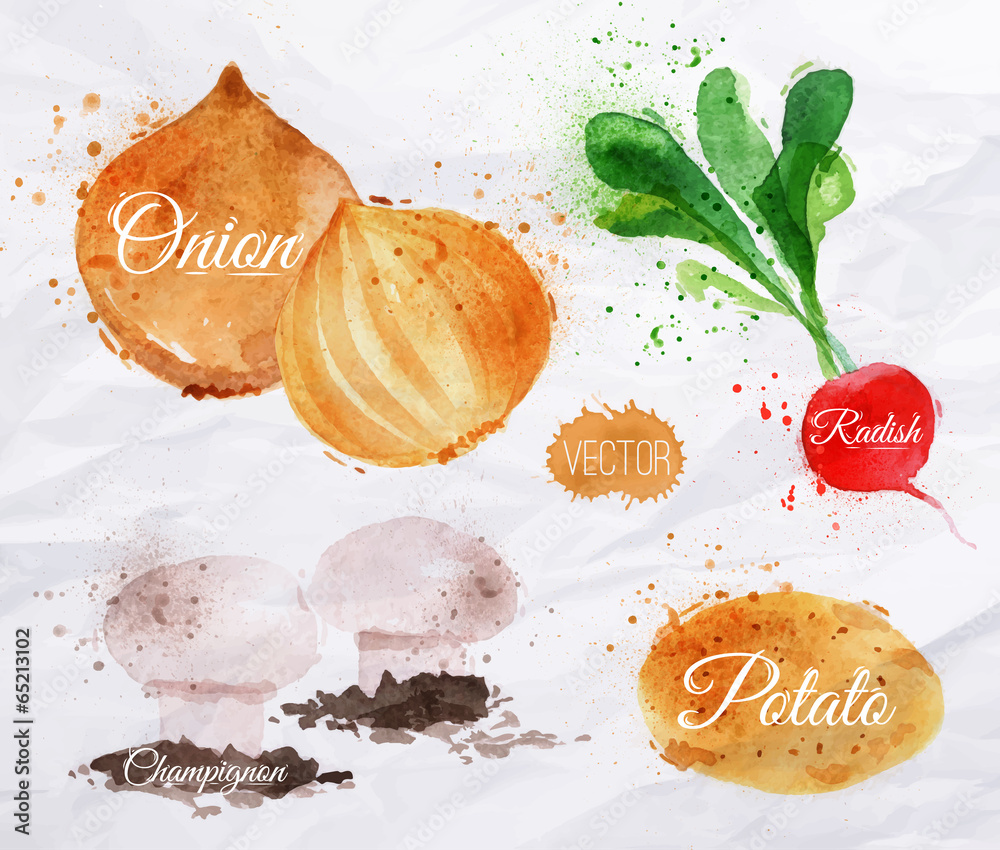 Vegetables watercolor radishes, onions, potatoes, champignons