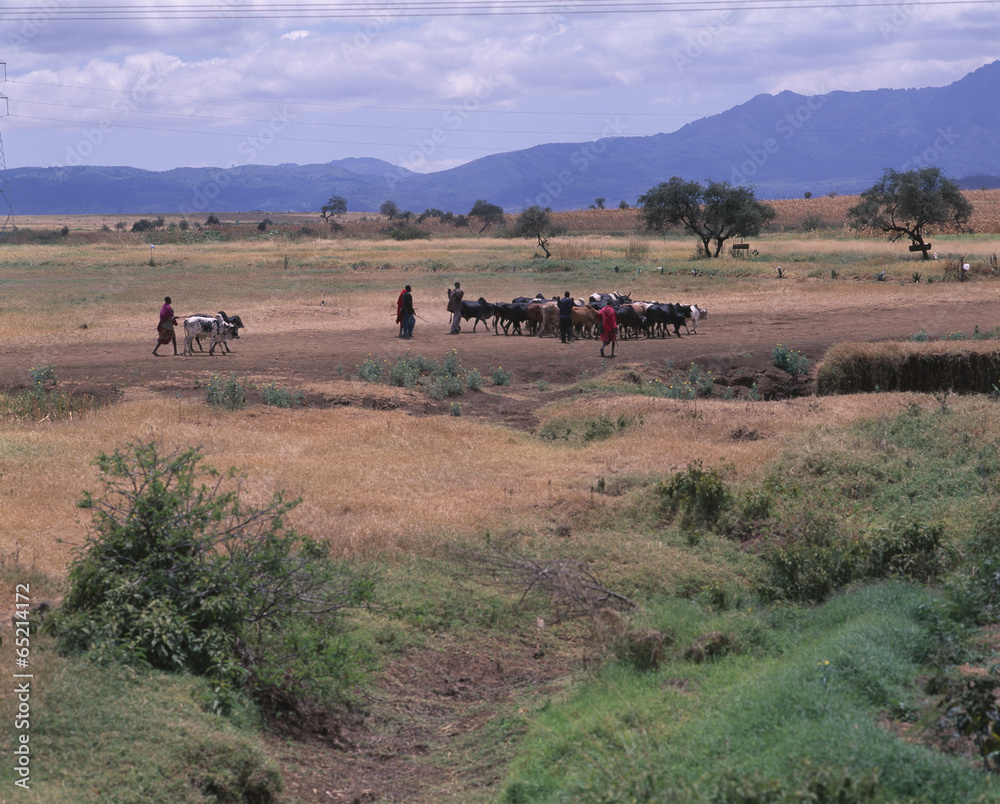 The image of beautiful nature