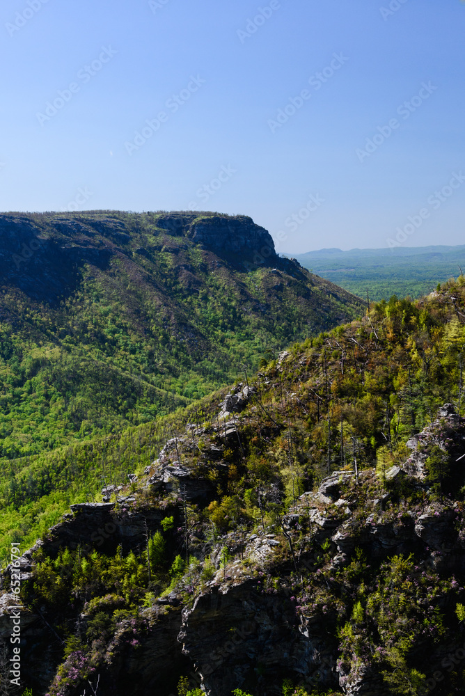 Naklejka premium Linville Afternoon
