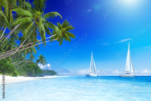 Sailboats and Palm Tree on the Beach