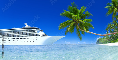 Slika na platnu Cruise and palm tree
