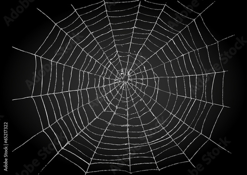 Obraz na plátně Illustration of spiderweb