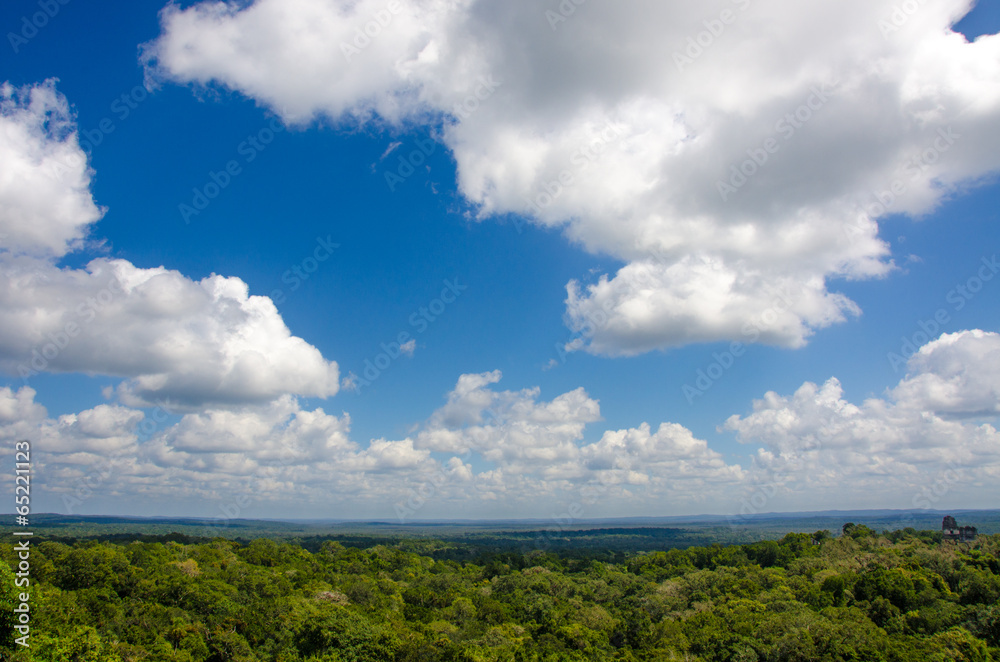 Blick von Tikal Ruine über Regenwald Blick von Tikal Ruine über Regenwald