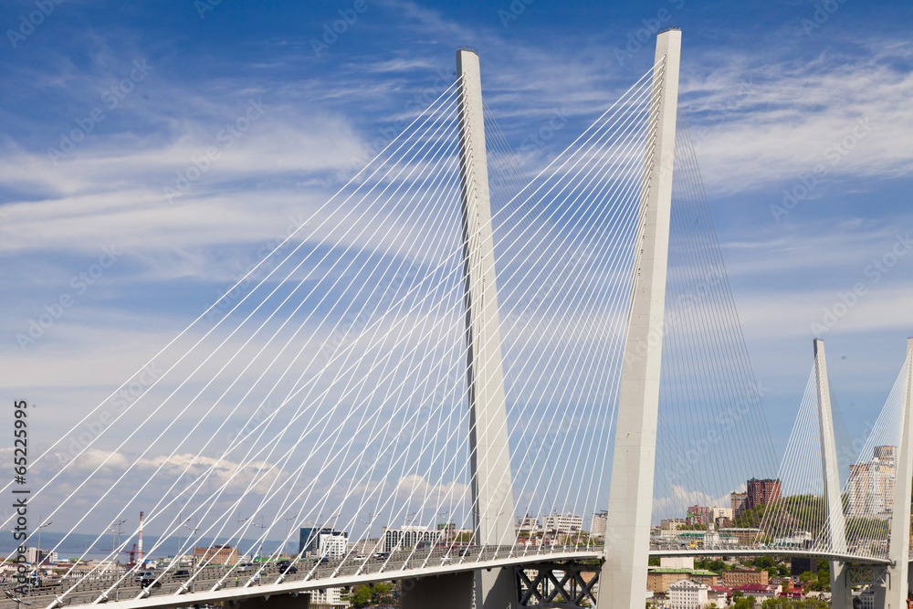 Obraz premium Big suspension bridge