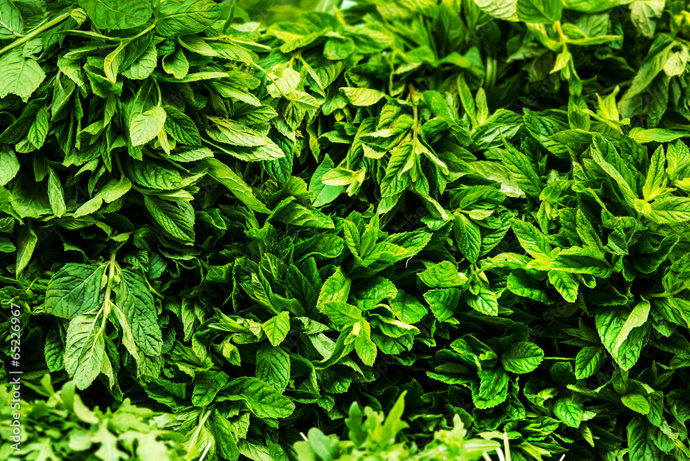 Obraz premium Fresh Herbs Background close up. Fresh raw mint leaves backgroun
