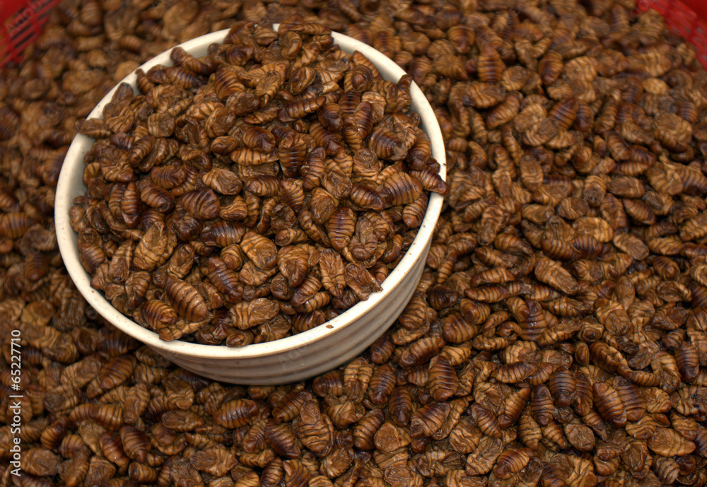 Silk worm larvae at Jagalchi Fish Market, Busan, Korean Republic Stock ...