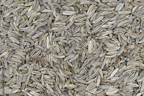 cumin corns