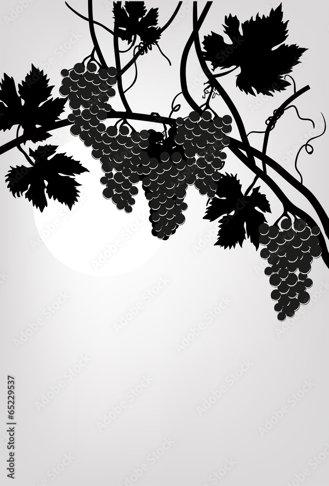 Naklejka premium black vines on grey background