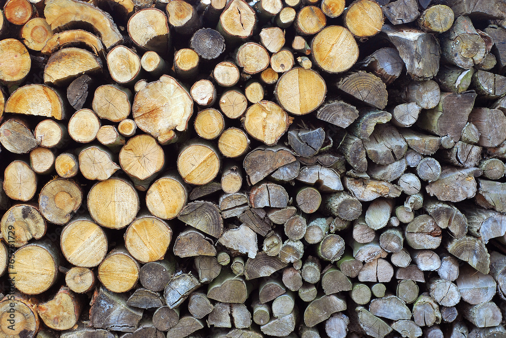 woodpile