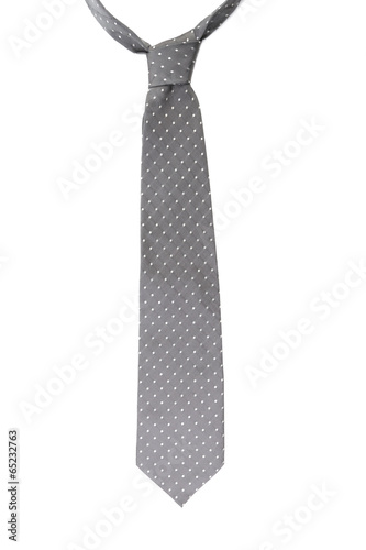 Cuadro en lienzo Gray tie with white speck.