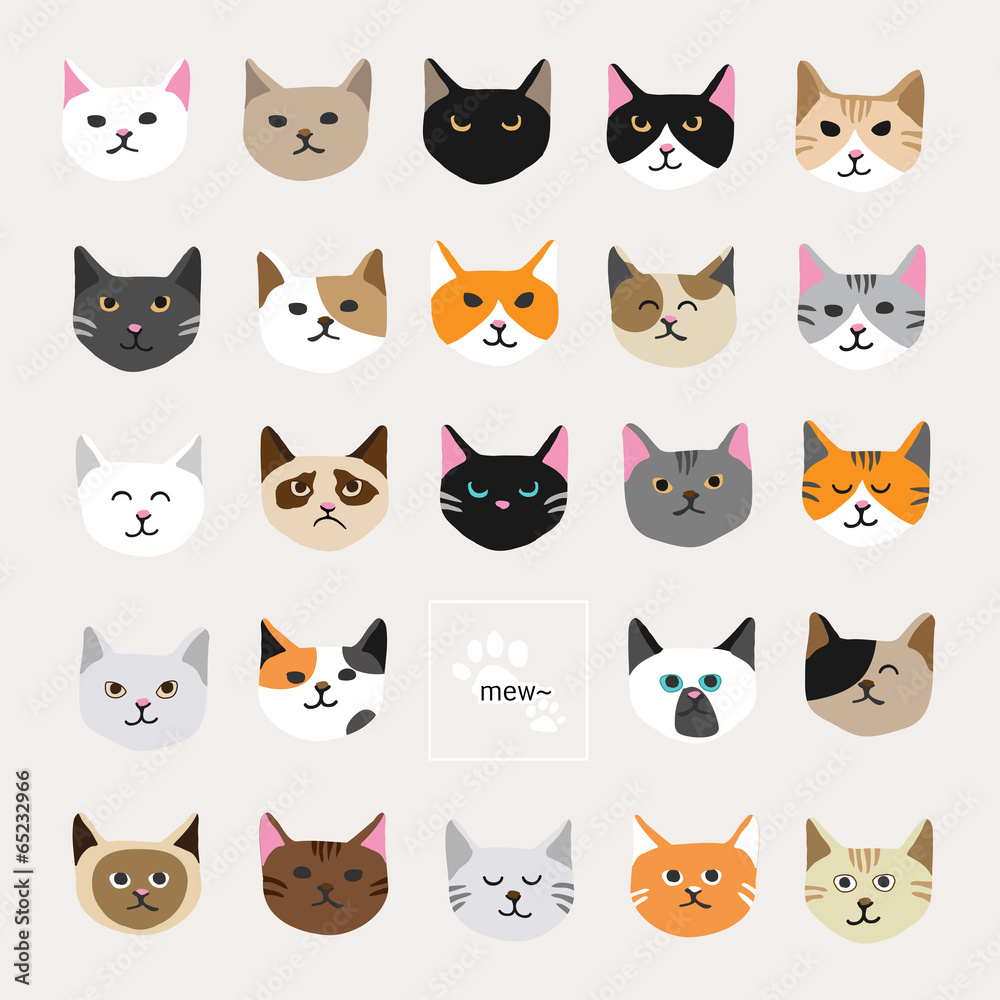 Cat collection