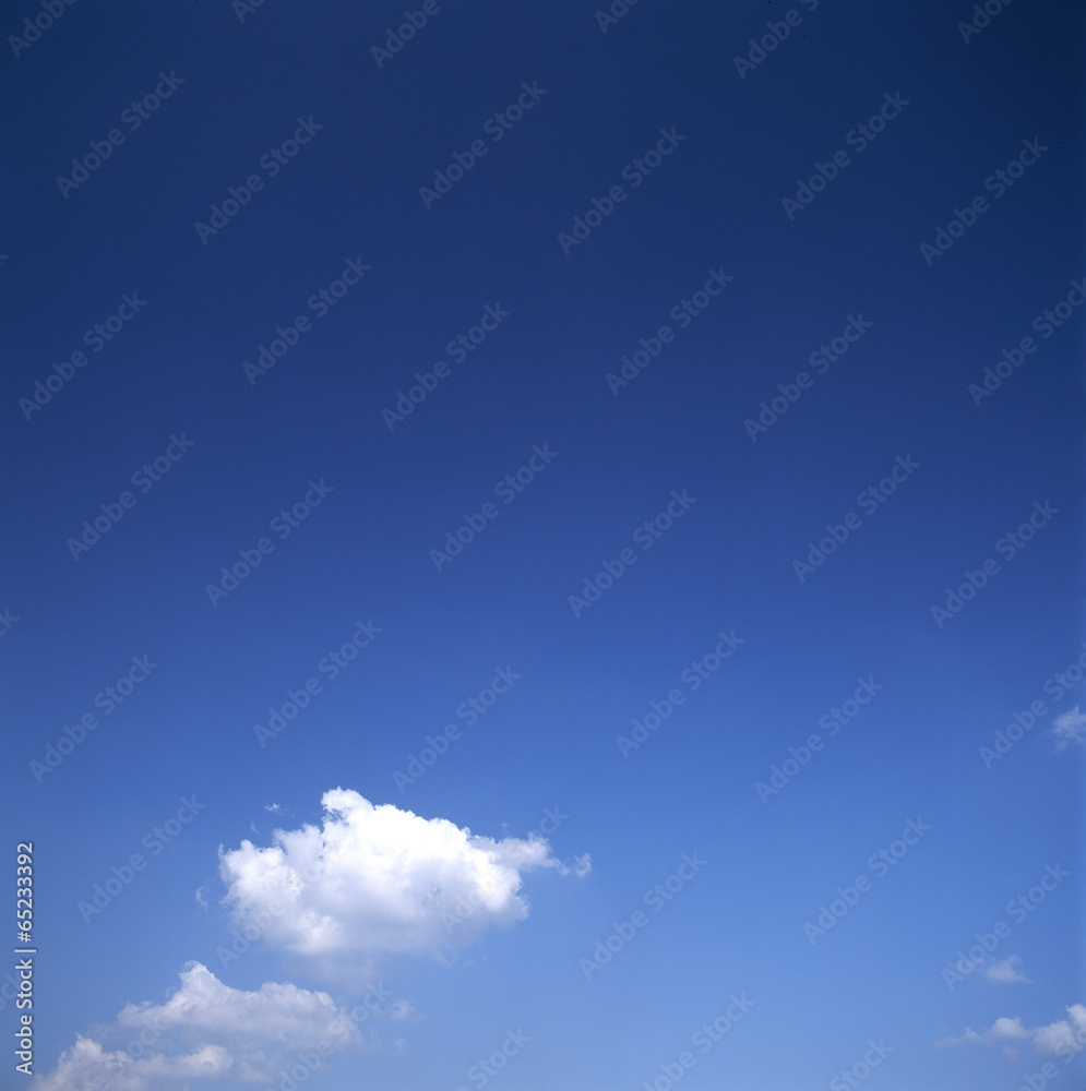 The image of beautiful nature The image of beautiful nature