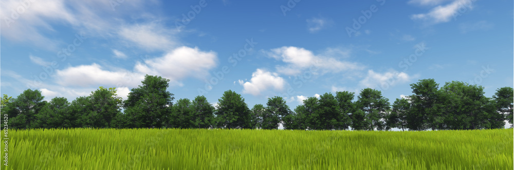 Panorama of Green Grass with cloud and the blue sky. 3d render 