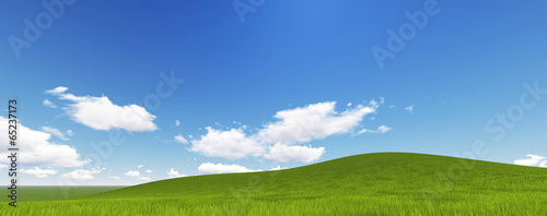 Panorama of Green Grass with cloud and the blue sky. 3d render 