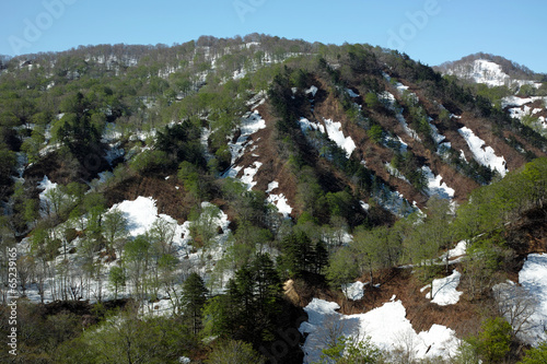 新緑と残雪 photo