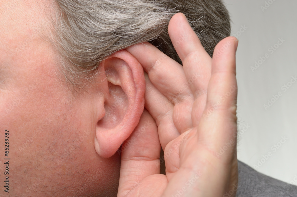 Fototapeta premium lauschen totale