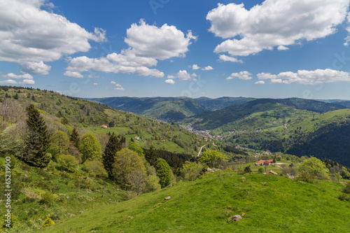 paysage des Vosges