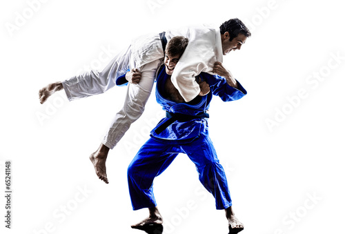 judokas fighters fighting men silhouette © snaptitude