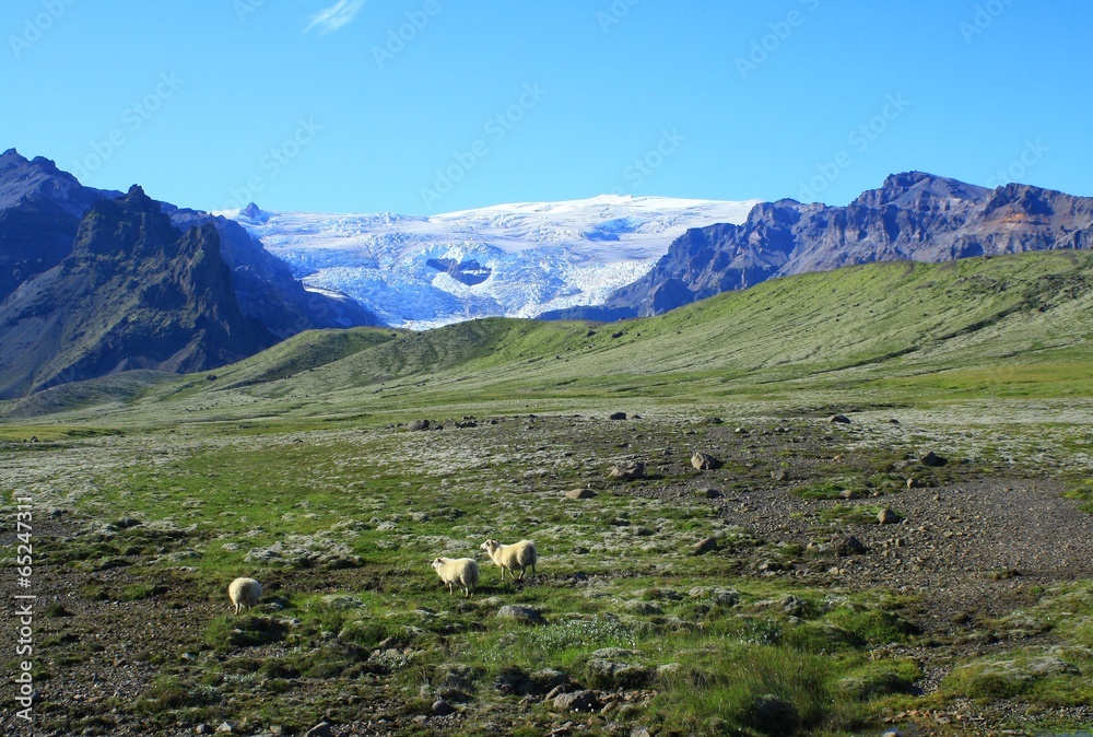 ghiacciai e paesaggi islandesi
