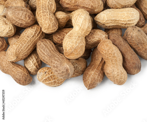 dried peanut on white background