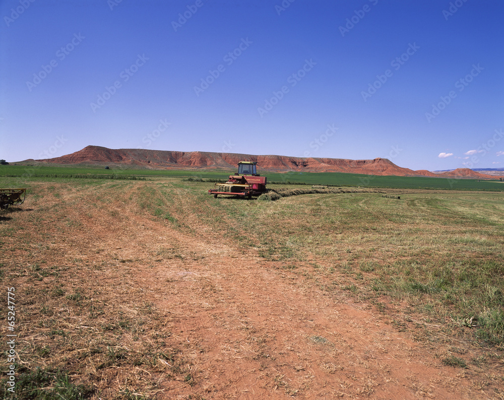 Naklejka premium The image of landscape