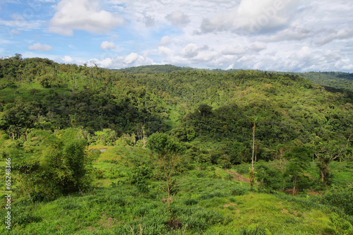 Landscape of ecuadorian jungle
