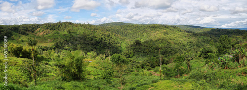 Landscape of ecuadorian jungle