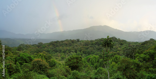 Landscape of ecuadorian cloudforest photo