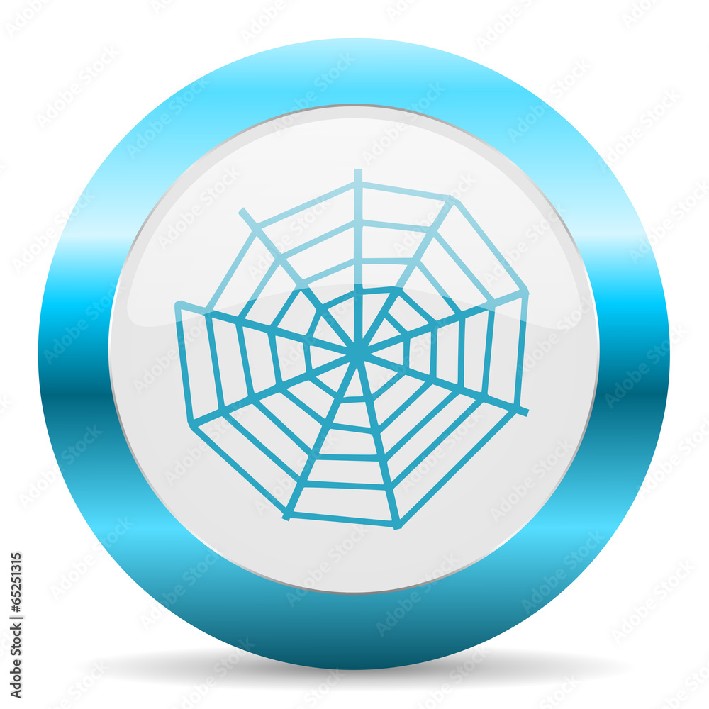 spider web spider web