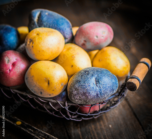 Red blue and yellow potatoes on wooden background