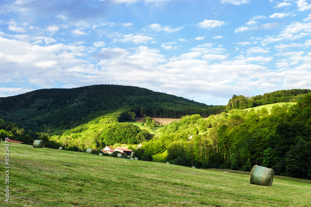 Calm rural landscape