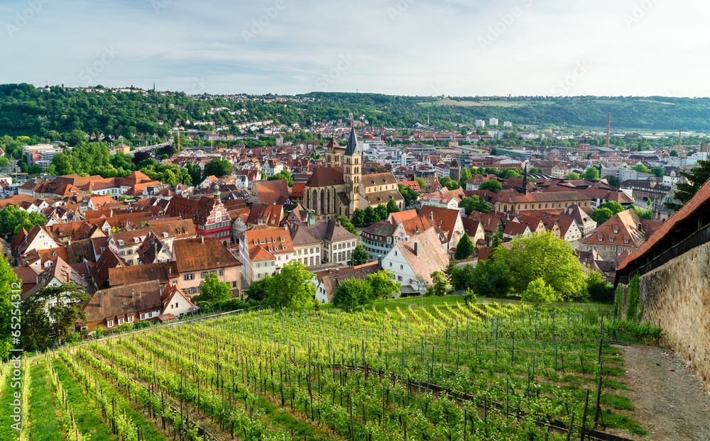 Blick auf Esslingen am Neckar