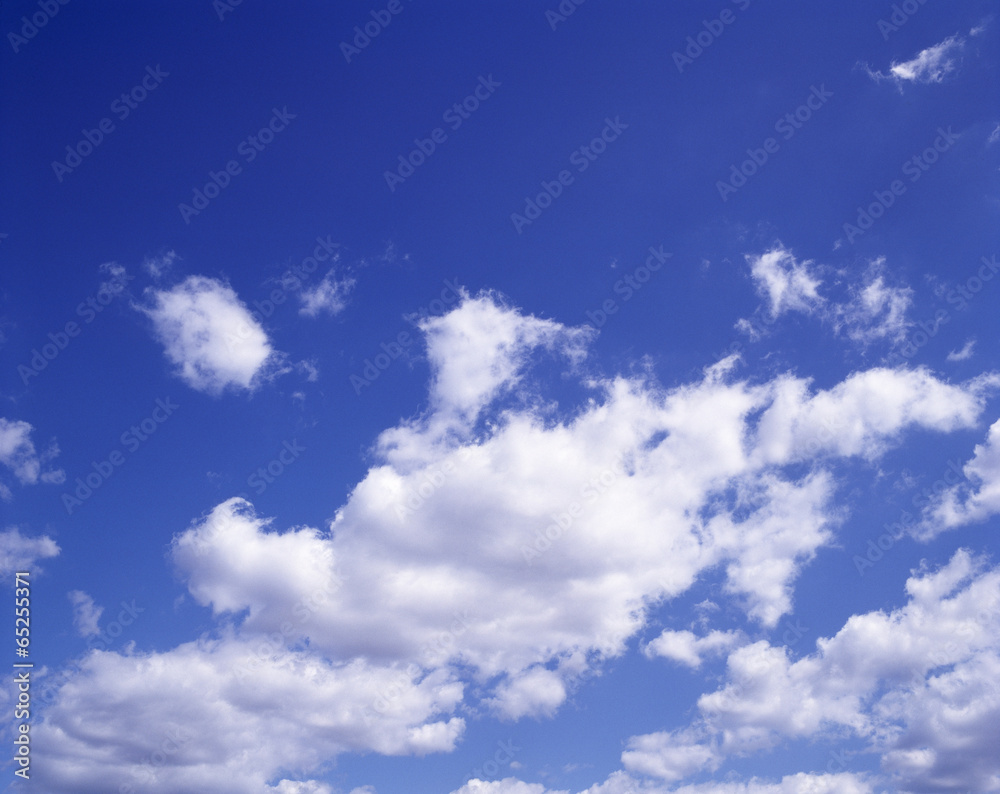 Obraz premium The image of beautiful nature