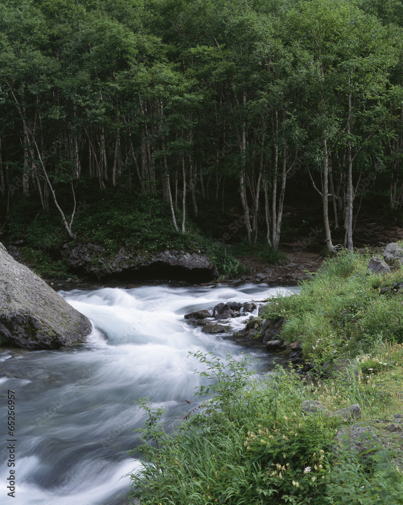 The image of beautiful scenery The image of beautiful scenery