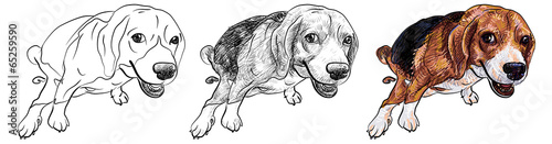 Pooping beagle