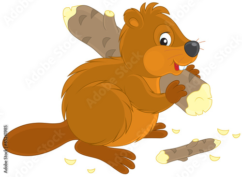 Beaver