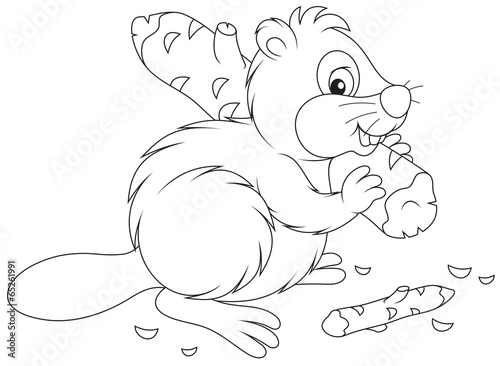 Beaver
