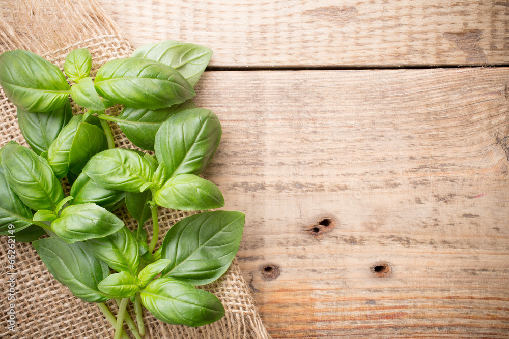 Basil. Basil.