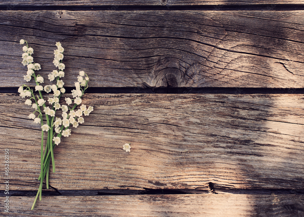 may-lily on wooden background may-lily on wooden background