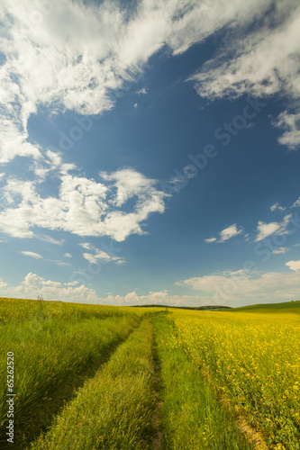Agricultural field and blue...