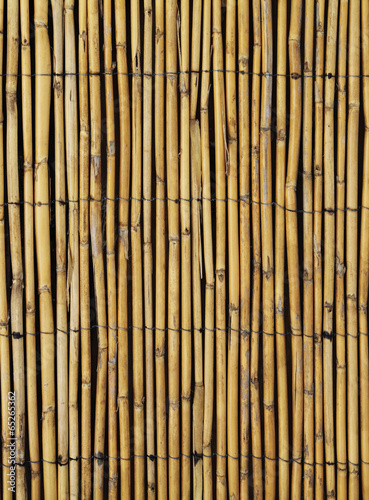 Fototapeta Naklejka Na Ścianę i Meble -  Bambus