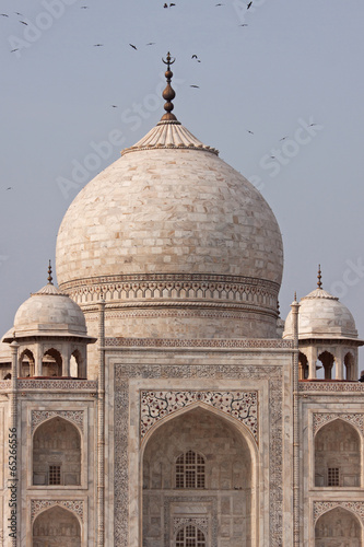 Birds circling the central dome of the Taj Mahal, Agra