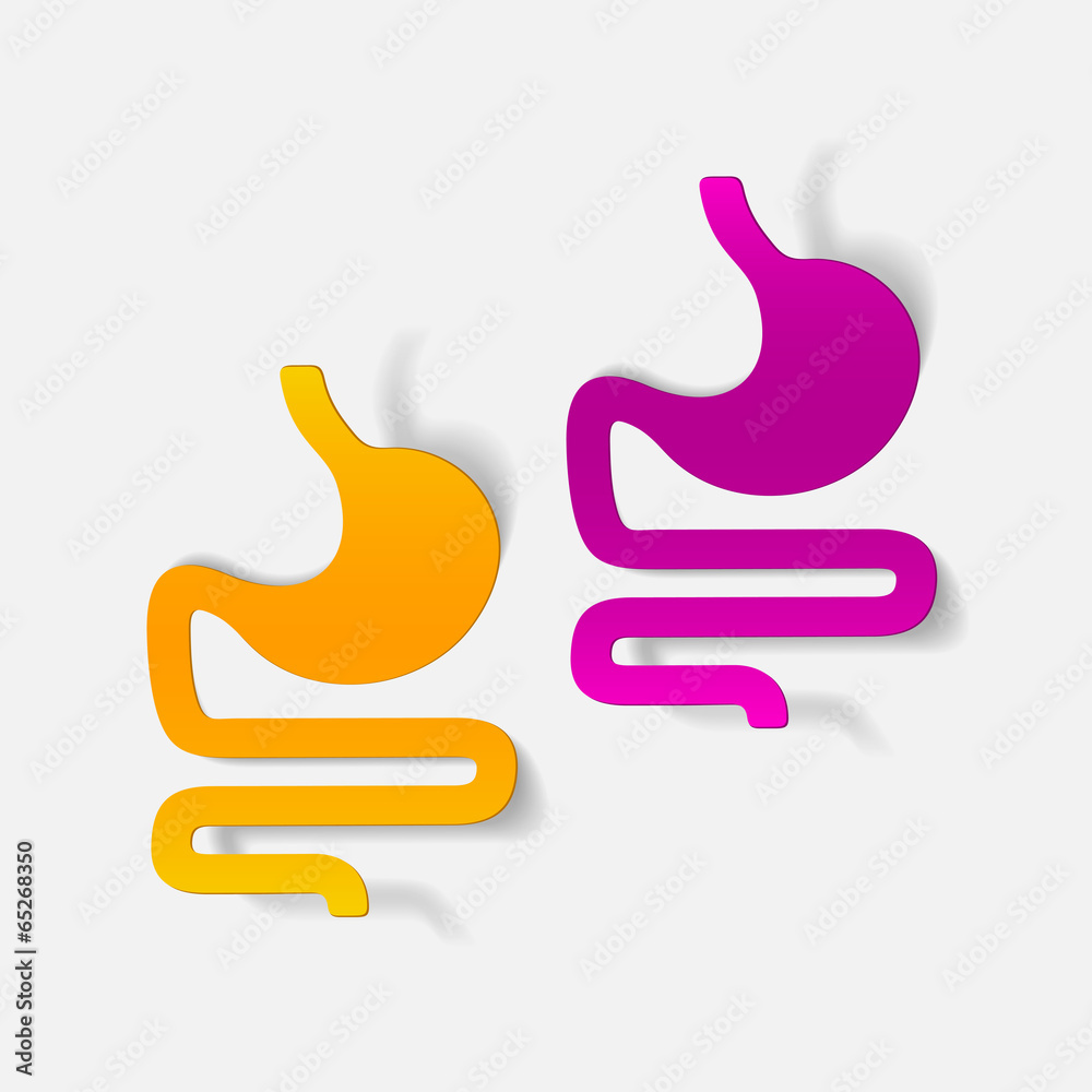Obraz premium realistic design element: stomach, medical