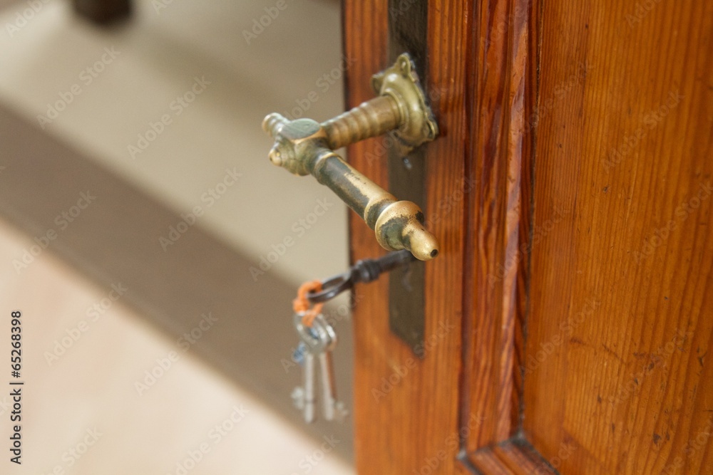 Obraz premium Türe 14