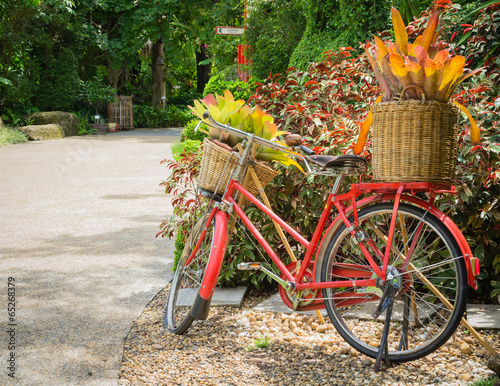 red bicycle in the darden photo